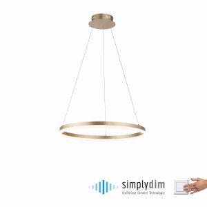 Lampa wisząca sufitowa TITUS 1 - punktowa mosiądz matowy PaulNeuhaus - 2382-60