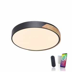 Lampa sufitowa Q-BILA 1 - punktowa czarny PaulNeuhaus - 6071-18