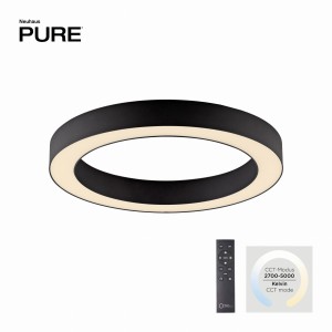 6310-13 PURE LINES ROUD LAMPA SUFITOWA GRAFITOWA Paul Neuhaus
