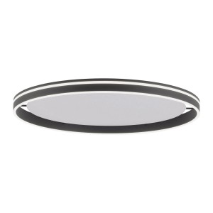 Lampa sufitowa Q-VITO 1 - punktowa antracyt PaulNeuhaus - 8418-13