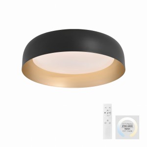 Lampa sufitowa OSKO Just Light 14215-18