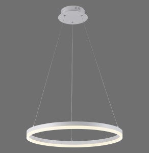 Lampa wisząca sufitowa TITUS 1 - punktowa Biały PaulNeuhaus - 2382-16