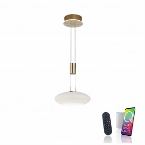 Lampa wisząca sufitowa Q-ETIENNE 2 - punktowa mosiądz matowy PaulNeuhaus - 2075-60