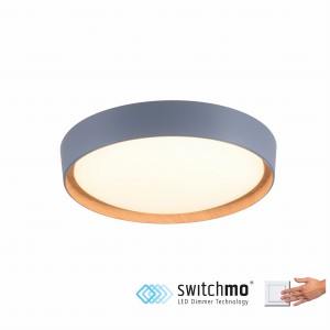 Lampa sufitowa EMILIA 1 - punktowa szary LeuchtenDirekt - 14347-15