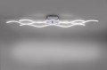 15167-55_Liw_1 (Copy).jpg