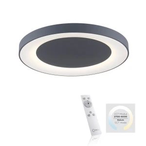 Lampa sufitowa ANIKA 1 - punktowa szary LeuchtenDirekt - 14327-18