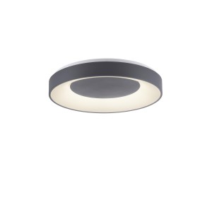 Lampa sufitowa ANIKA 1 - punktowa szary LeuchtenDirekt - 14326-18