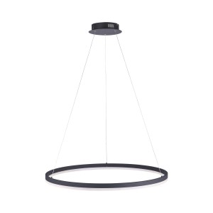 Lampa wisząca sufitowa TITUS 1 - punktowa antracyt PaulNeuhaus - 2383-13