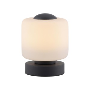Lampa stołowa BOTA 1 - punktowa antracyt PaulNeuhaus - 4037-13