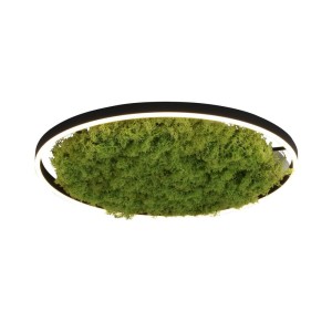 Lampa sufitowa GREEN RITUS 15392-66 Leuchten Direkt
