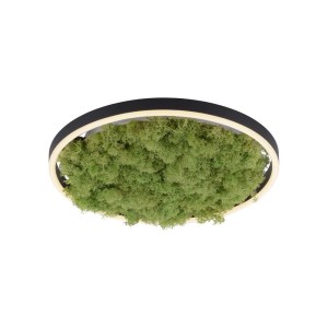 Lampa sufitowa GREEN RITUS 15391-66 Leuchten Direkt